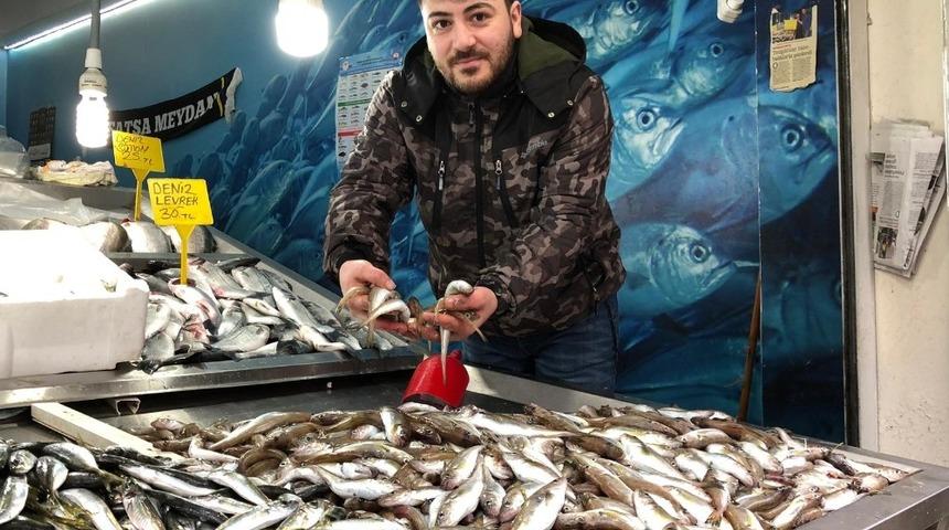 Tezgahlarda soğuk hava bereketi