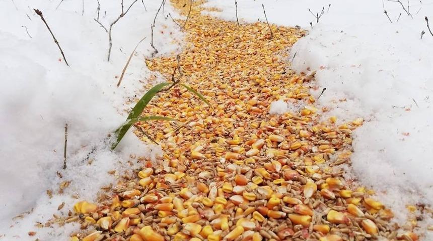 Karda yaban hayatı unutulmadı