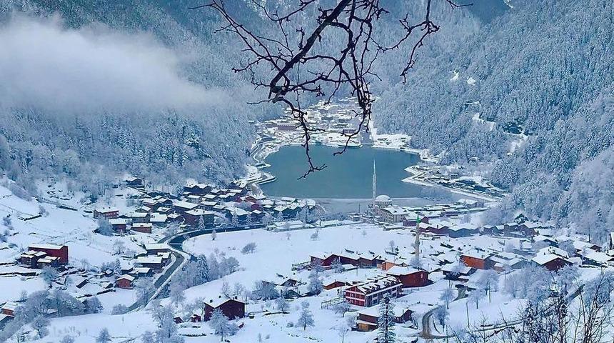 Uzungöllü turizmciler uyardı: Kontrol altına alınmalı
