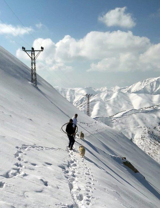 Dicle Elektrik ekipleri sınır güvenliği için işbaşında