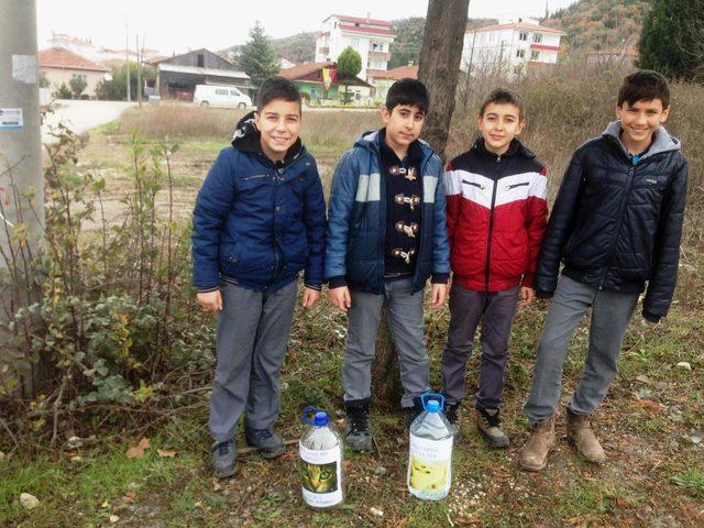 Yalova'da, öğrenciler sokak hayvanlarına yemek ve su bıraktı