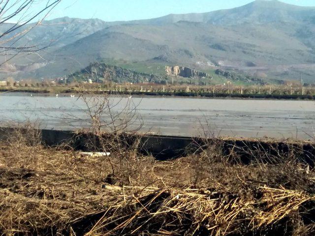 Menemen Ovası sular altında kaldı, ıspanağın fiyatı yükseldi