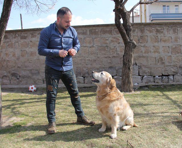 'Paşa' ile köpek korkusunu yendi, hayatı değişti