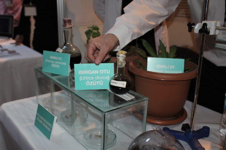 Lise öğrencileri yaraları 15 dakikada iyileştiren organik yara bandı buldu! G5