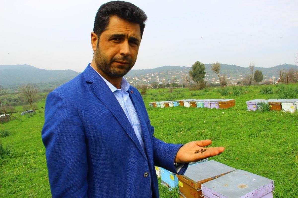 &Ccedil;ift&ccedil;ilerin duyarsızlığı milyonlarca arıyı telef etti