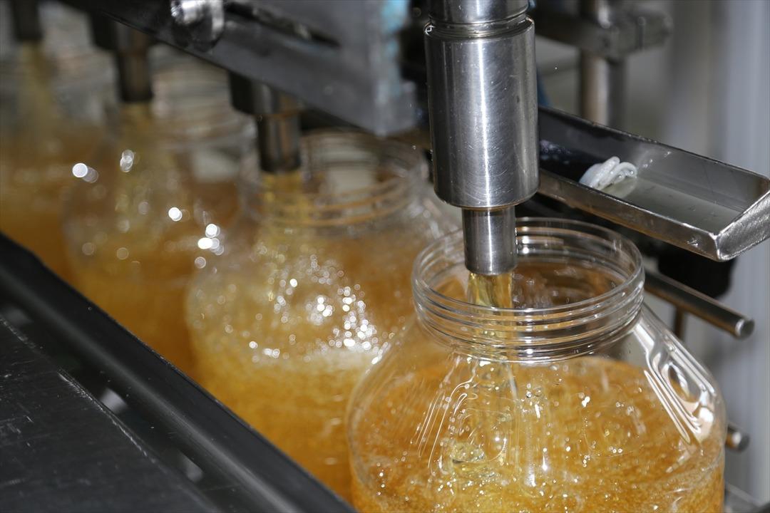 Ordu'da yapılıyor! Tanzanya ve &Ccedil;in'e ihra&ccedil; ediliyor