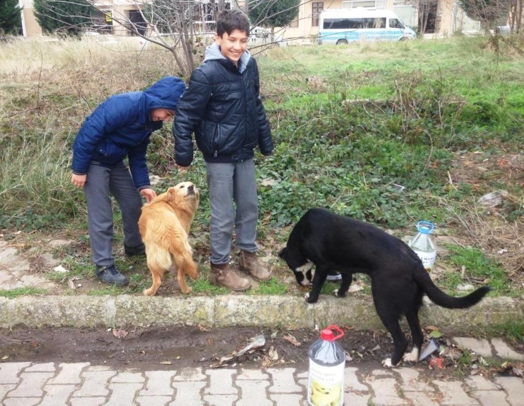 &Ouml;ğrencilerden sokak hayvanlarına yemek ve su