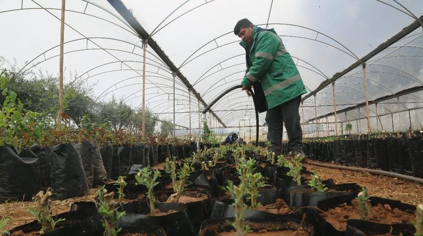 Erdemli Belediyesi bahara hazır