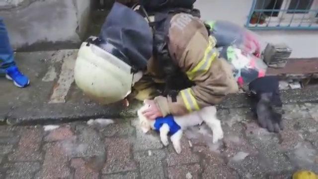 İtfaiye eri dumandan etkilenen köpeği hayata döndürmek için böyle mücadele verdi