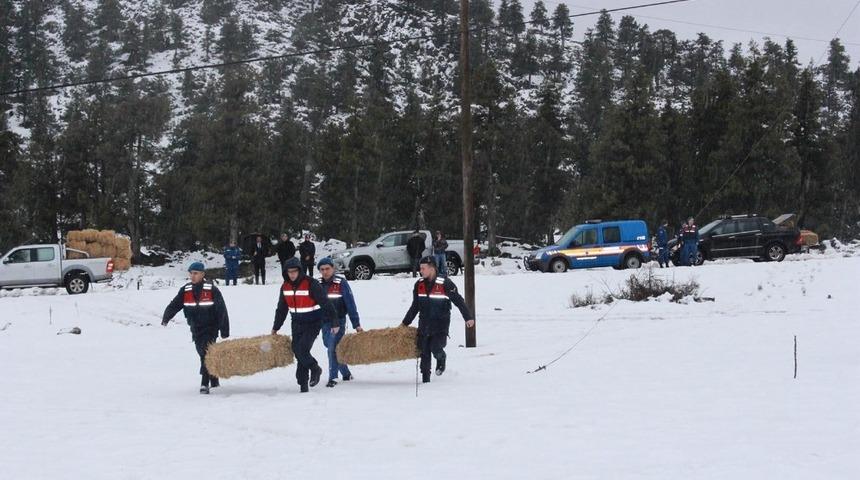 Jandarma&rsquo;dan &lsquo;yılkı atı&rsquo;na doğa operasyonu