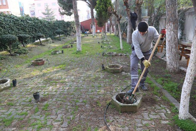 Turgutlu Belediyesinden yeşillendirme çalışması