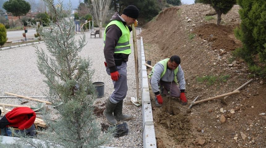 Turgutlu Belediyesinden yeşillendirme çalışması