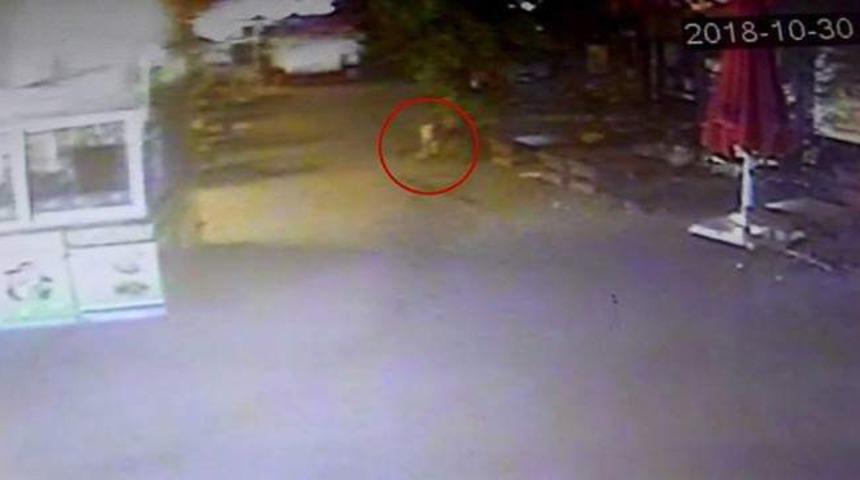S&ouml;ke&rsquo;deki AVM&rsquo;de k&ouml;peklerin bulduğu bebek cesedi olayı aydınlatıldı