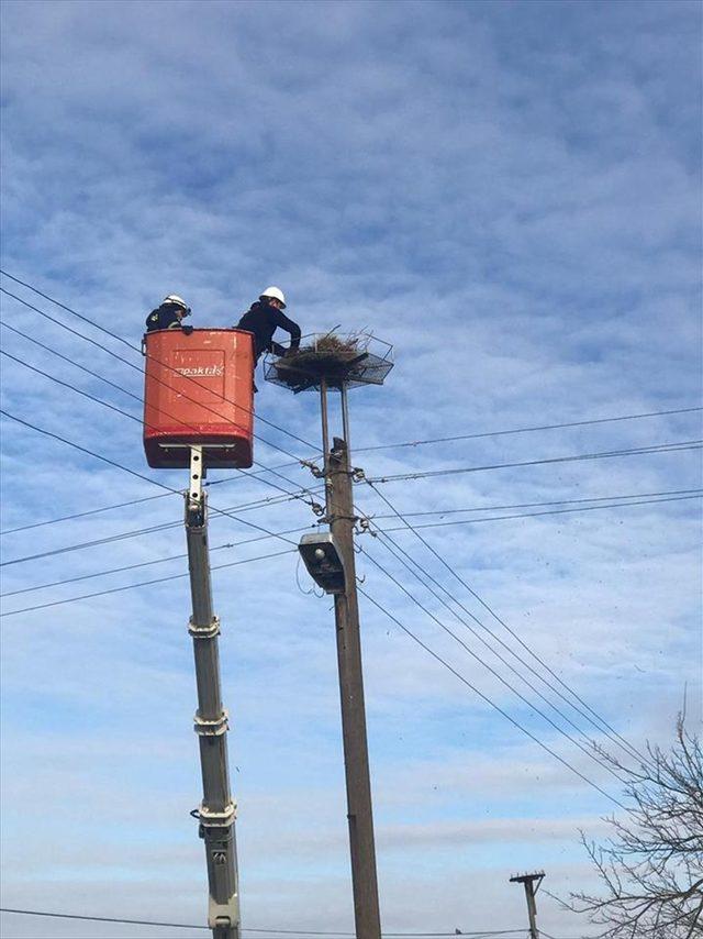 Elektrik direklerindeki leylek yuvaları yenilendi