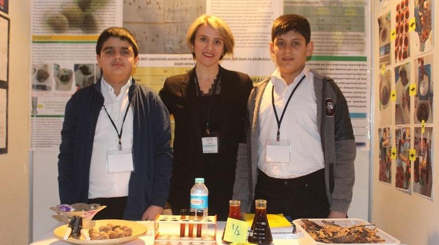 Vanlı &ouml;ğrenciler, ceviz yapraklarından doğal herbisit elde etti