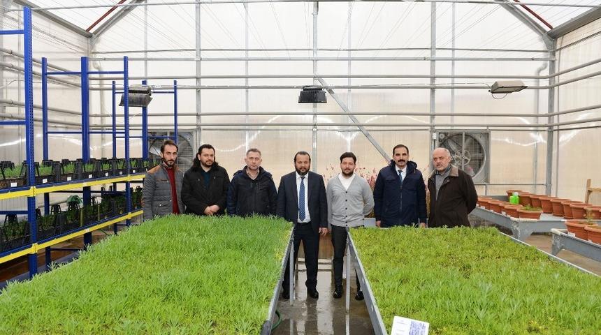 KM&Uuml;, &ccedil;evre d&uuml;zenlemesi i&ccedil;in kendi bitkisini &uuml;retiyor