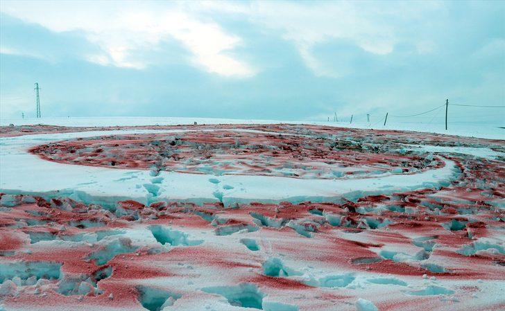 Başta ne olduğunu kimse anlamadı! 8 saatlik çalışma sonrası bakın ortaya ne çıktı! G5