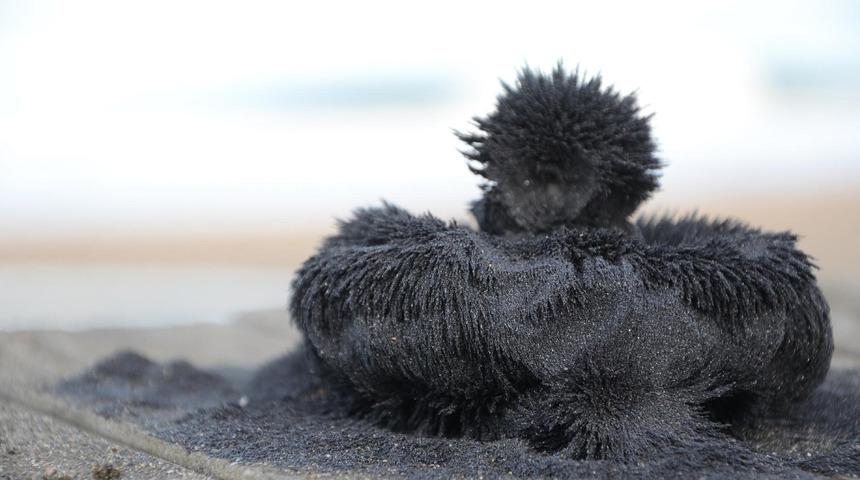Dünyada en iyisi Türkiye'de! Mucivezi kum 100 yılı aşkın süredir tedavi için kullanılıyor
