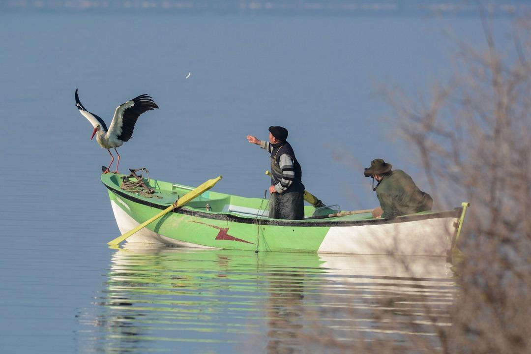 Yanından hi&ccedil; ayrılmıyor! Bu dostluk filmlere konu oluyor