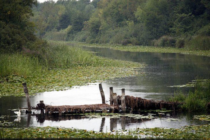 Doğa harikası Acarlar Longozu tescil edildi G5