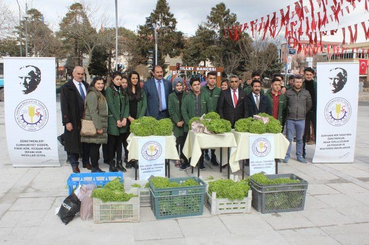 Erzincan’da vatandaşlara ücretsiz marul dağıtıldı G2