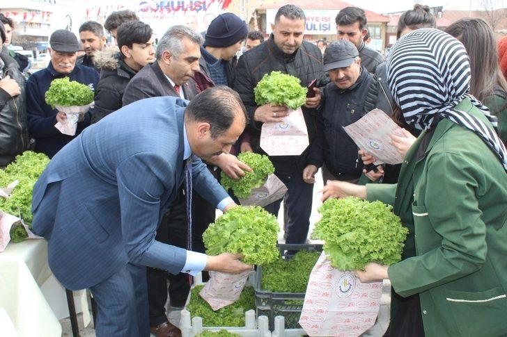 Erzincan’da vatandaşlara ücretsiz marul dağıtıldı G4