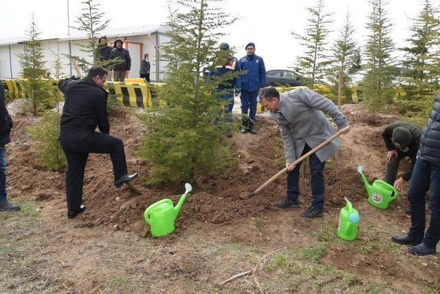 Jandarma kontrol noktasına ağaçlandırma