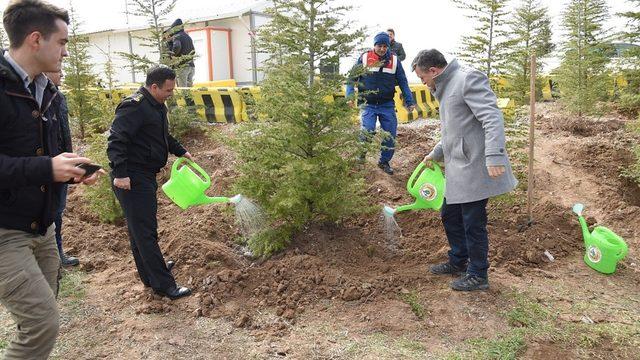 Jandarma kontrol noktasına ağaçlandırma