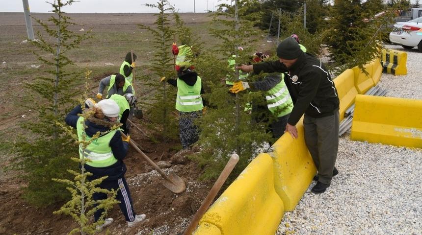 Jandarma kontrol noktasına ağa&ccedil;landırma