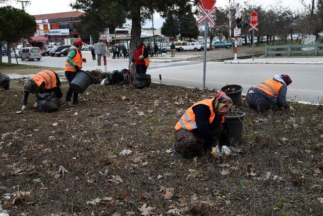 ’Güller Diyarı Isparta’ya 5 milyon gül dikimi hedefi