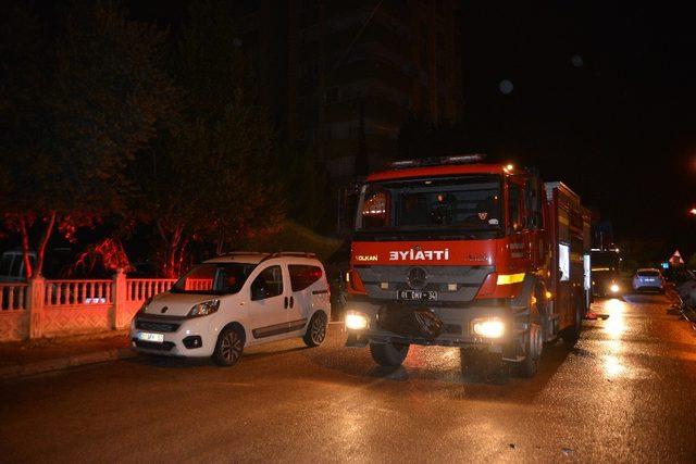 Yalnız yaşayan kadını yangından kedisi kurtardı