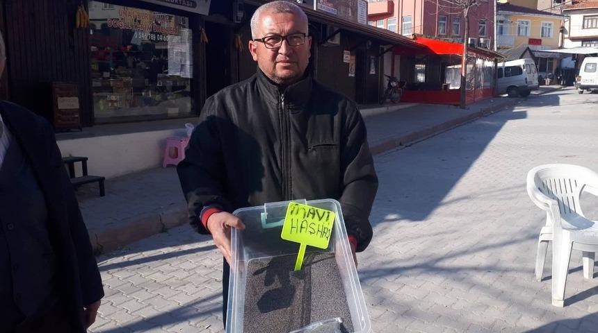 Mavi haşhaş pazar tezgahında