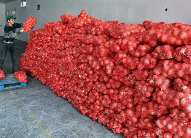 Kocaoğlu açıklamıştı, 35 bin aileye 700 ton patates ve soğan dağıtılıyor