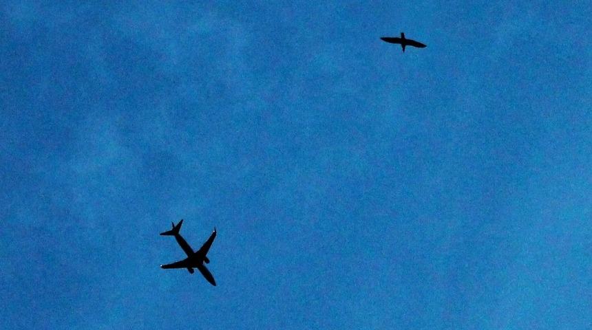 Eskişehirli lise &ouml;ğrencisinin fotoğrafı birinci se&ccedil;ildi