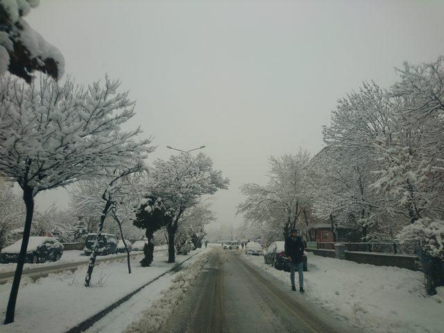Karlıova'da kar esareti: İş yerleri açılamadı, okullar tatil edildi (3)