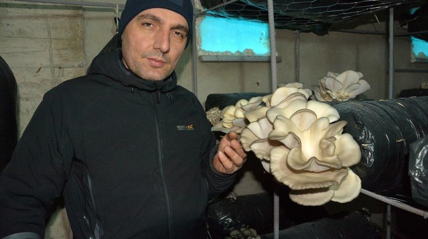 Bu yılın ilk mantarları toplanmaya başladı