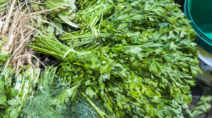 Tazecik kalsınlar! Yeşillikleri ilk günkü gibi taze tutmanın yolları