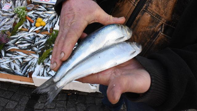 Edirne'de hamsi sezonu kapandı