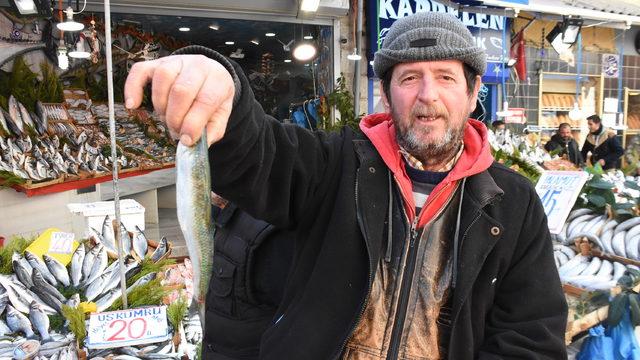 Edirne'de hamsi sezonu kapandı