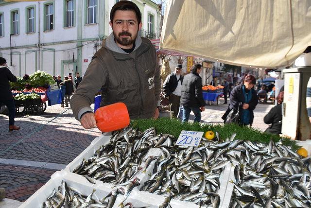 Edirne'de hamsi sezonu kapandı