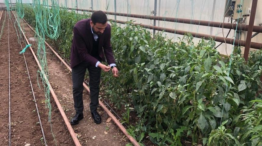 Nasıranlı: &ldquo;100 d&ouml;n&uuml;ml&uuml;k sera ile 500 kişiye istihdam sağlayacağız&rdquo;