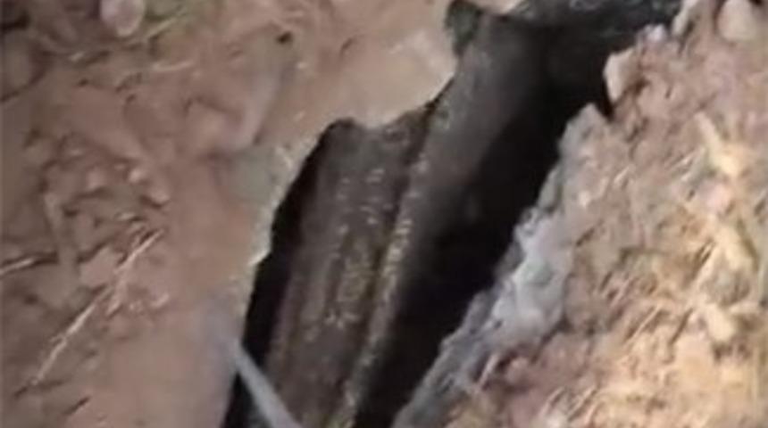  Bah&ccedil;edeki garip sesleri duydular, oraya bakınca şoke oldular