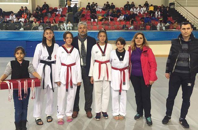 Analik Taekwondo İl Seçmeleri Sona Erdi