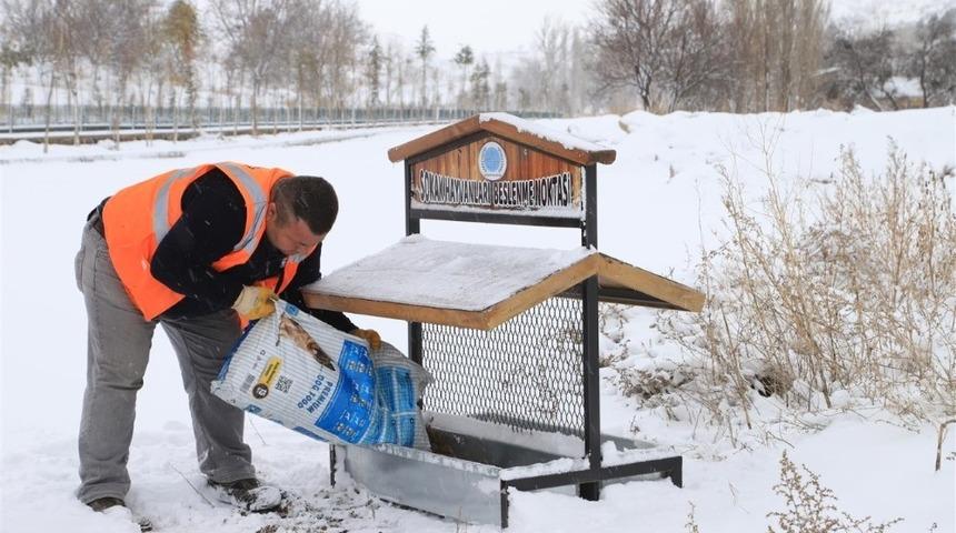 Sokak hayvanları i&ccedil;in beslenme odaklarına mama bırakıldı