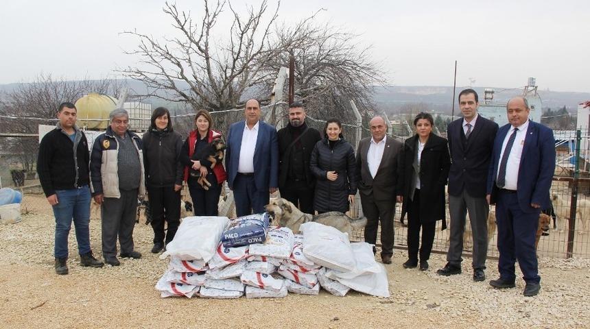 GTB ve Cahide Derneğinden sokak hayvanları i&ccedil;in yardım kampanyası