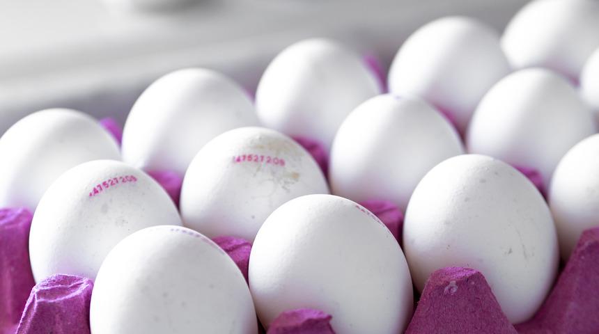 Son kullanma tarihi ge&ccedil;se de yiyebileceğiniz bazı yiyecekler