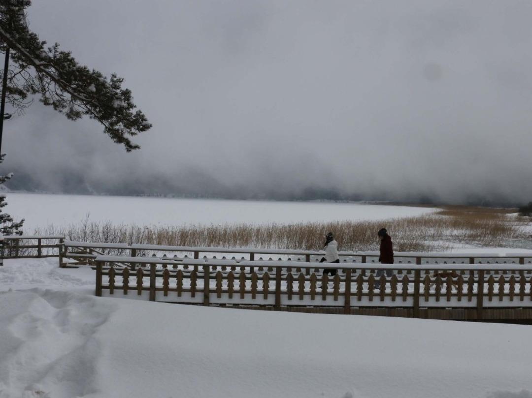 Abant Tabiat Parkı, sisle kaplandı