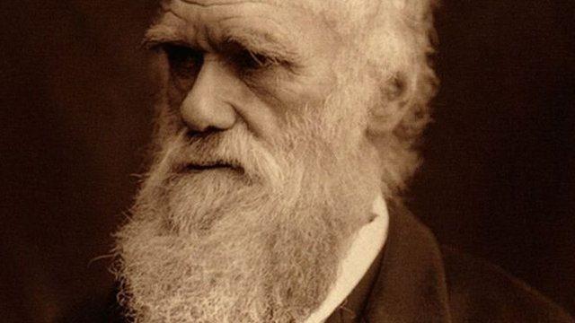 Charles Darwin 1882 yılında öldüğünde millete malolmuş büyük insanların gömüldüğü Westminster Abbey (Aziz Peter) kilisesine gömülerek onurlandırıldı