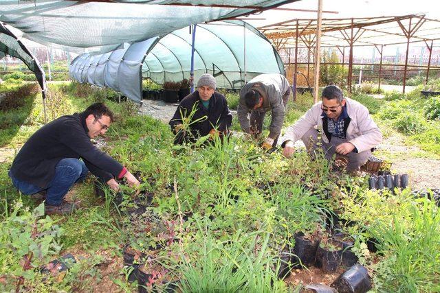 Üniversite de  Tarımsal Uygulama ve Araştırma Merkezinden Üretim Atağı