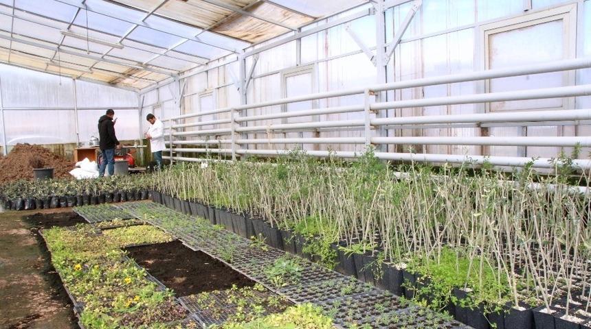 &Uuml;niversite de  Tarımsal Uygulama ve Araştırma Merkezinden &Uuml;retim Atağı